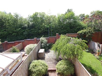 Picture 15